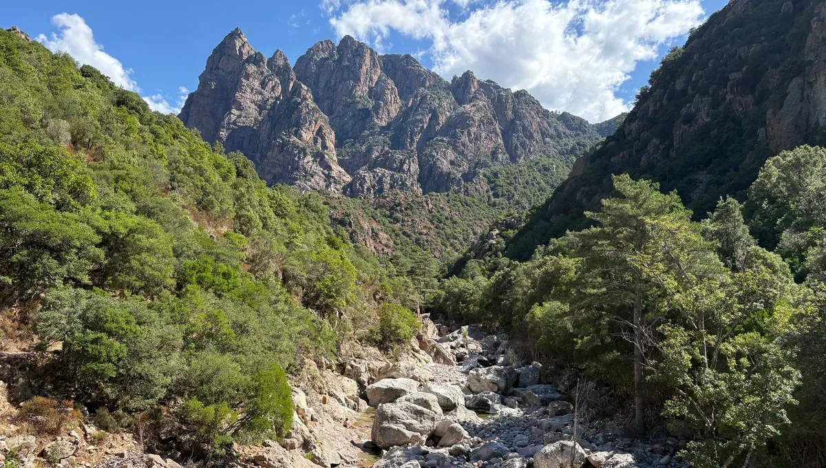 Entrée des Gorges de Spelunca, parois rouges plongeant dans la rivière, châtaigniers au premier plan